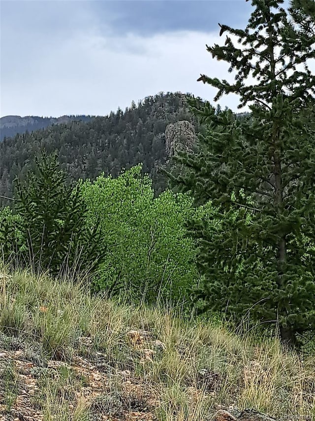 639 Spade Pl, Jefferson, CO 80456 - photo 3