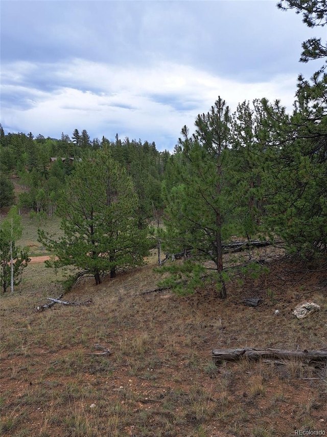 639 Spade Pl, Jefferson, CO 80456 - photo 10