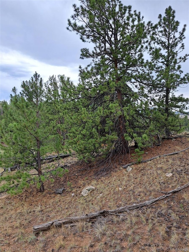 639 Spade Pl, Jefferson, CO 80456 - photo 11