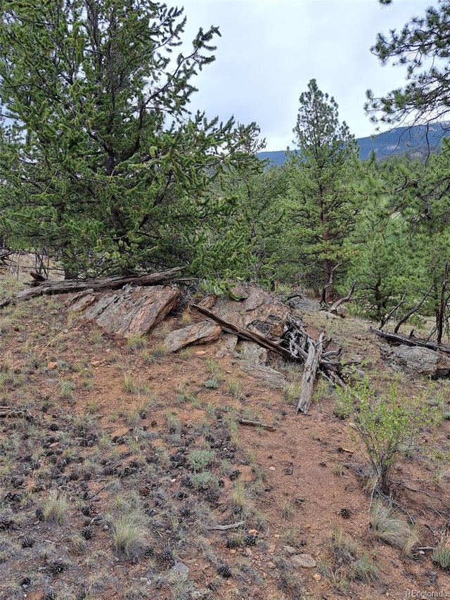 639 Spade Pl, Jefferson, CO 80456 - photo 12