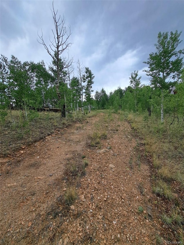639 Spade Pl, Jefferson, CO 80456 - photo 19