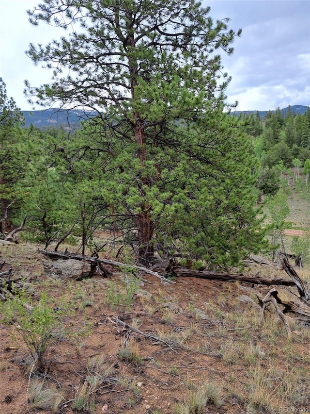 639 Spade Pl, Jefferson, CO 80456 - photo 21