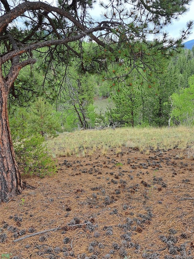 639 Spade Pl, Jefferson, CO 80456 - photo 23