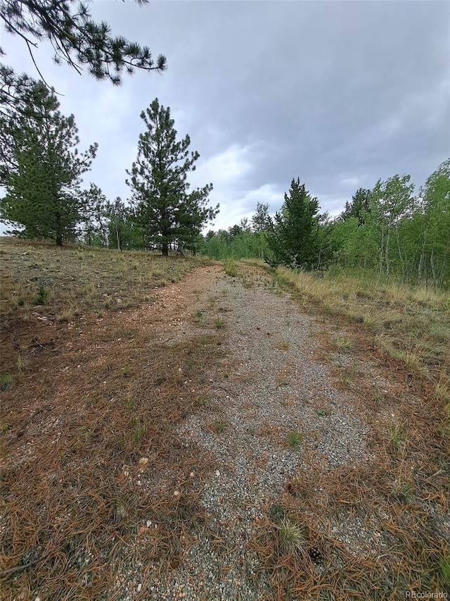 639 Spade Pl, Jefferson, CO 80456 - photo 24