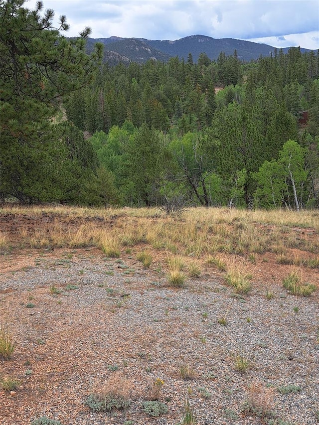 639 Spade Pl, Jefferson, CO 80456 - photo 25