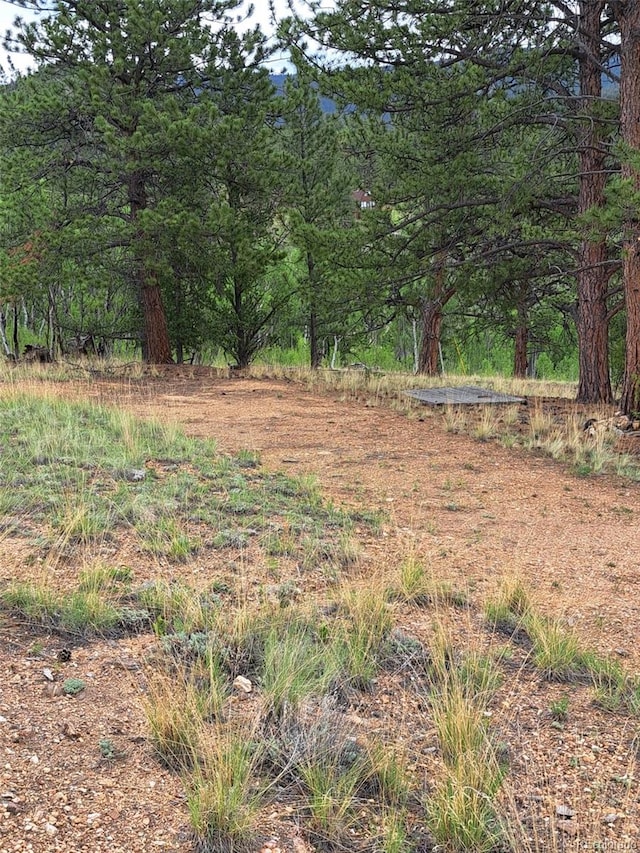 639 Spade Pl, Jefferson, CO 80456 - photo 26
