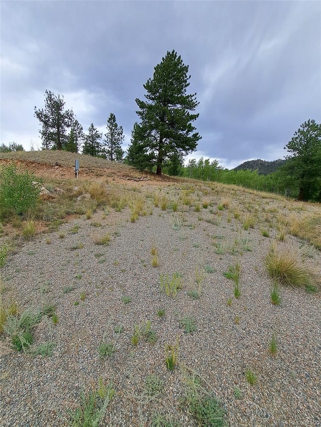 639 Spade Pl, Jefferson, CO 80456 - photo 28