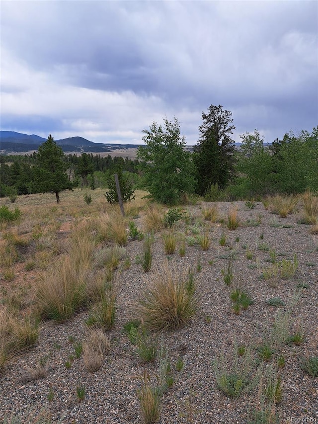 639 Spade Pl, Jefferson, CO 80456 - photo 29