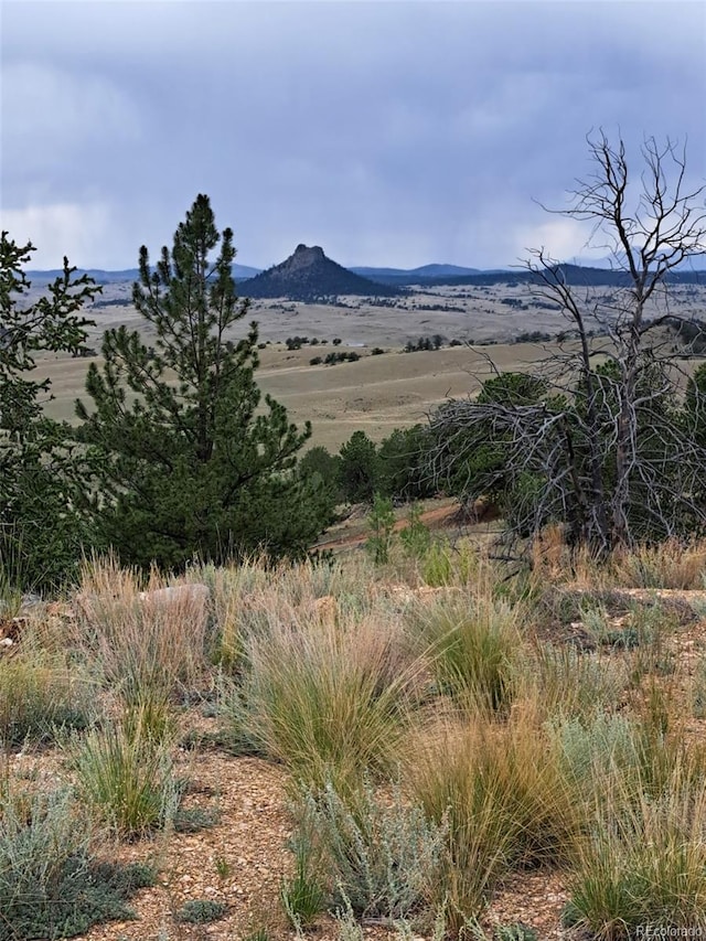 639 Spade Pl, Jefferson, CO 80456 - photo 31