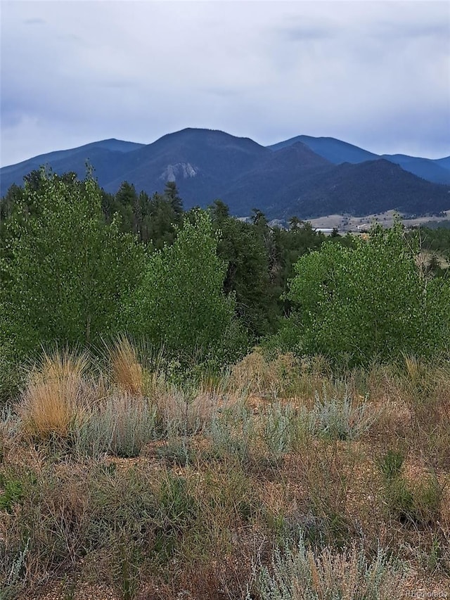 639 Spade Pl, Jefferson, CO 80456 - photo 32