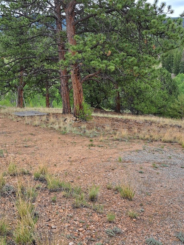 639 Spade Pl, Jefferson, CO 80456 - photo 38