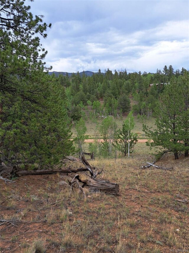 639 Spade Pl, Jefferson, CO 80456 - photo 33