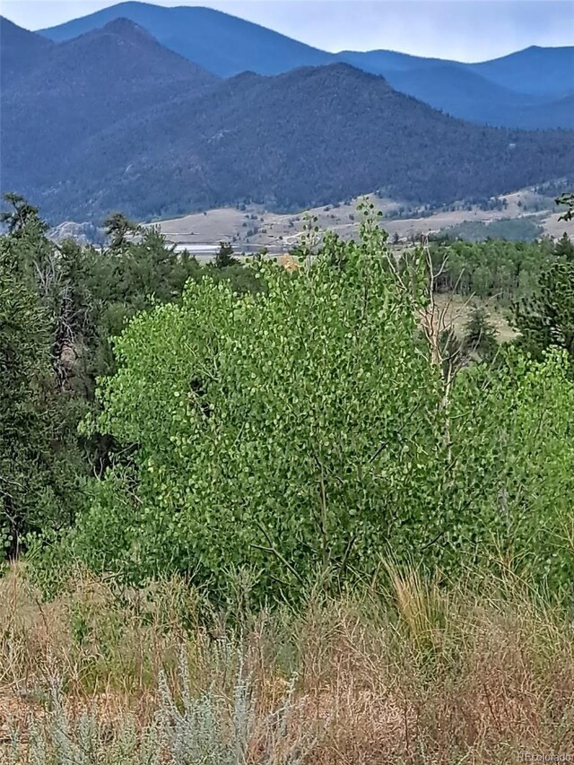 639 Spade Pl, Jefferson, CO 80456 - photo 36