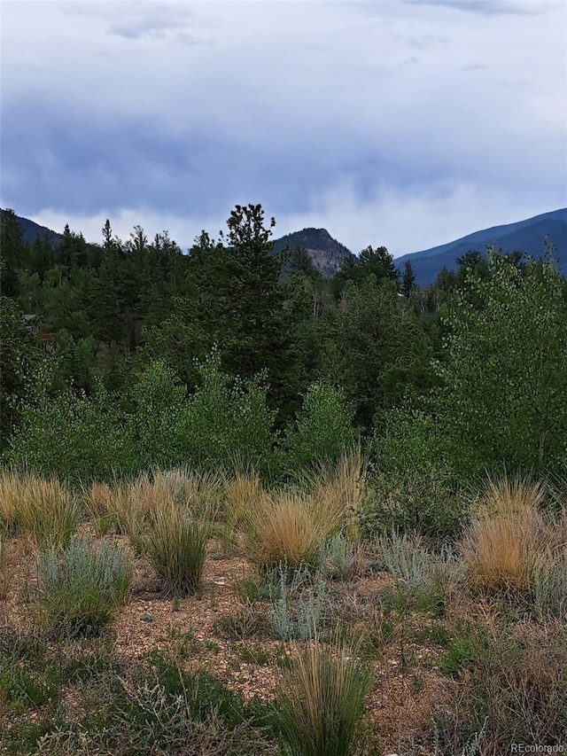 639 Spade Pl, Jefferson, CO 80456 - photo 2