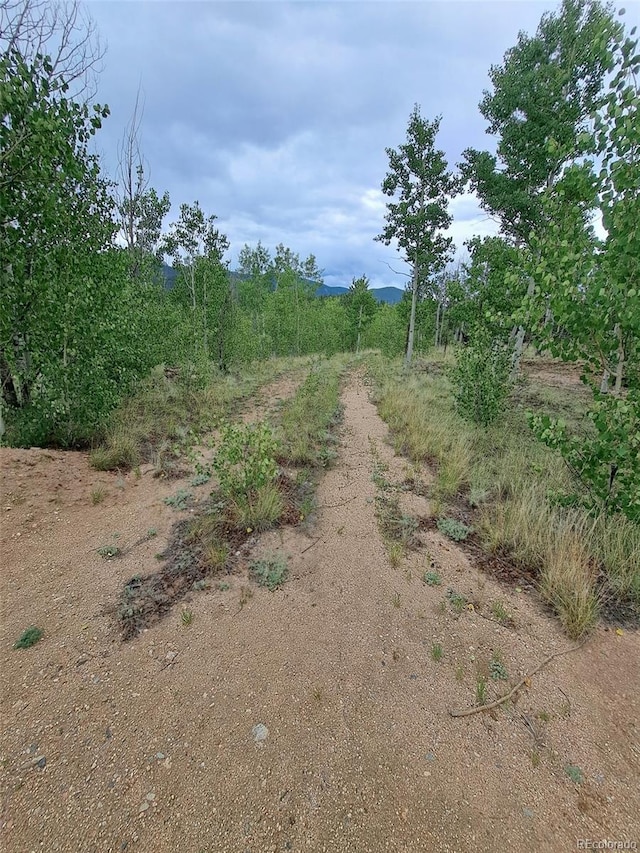 639 Spade Pl, Jefferson, CO 80456 - photo 9