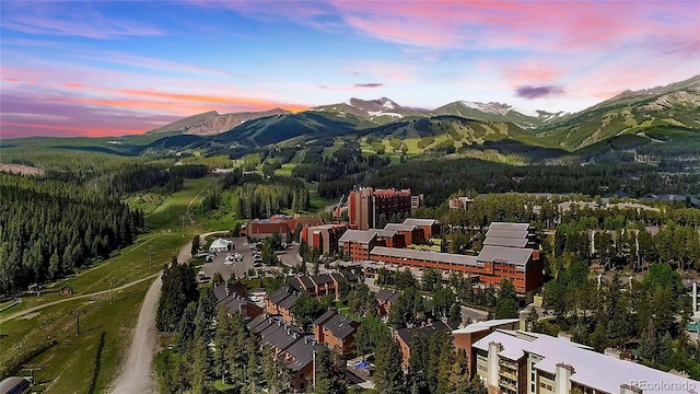 555 S Park Ave Unit 202, Breckenridge, CO 80424 - view of mountain feature