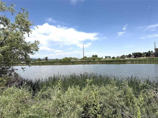 4451 S Ammons St Unit 108, Littleton, CO 80123 - water view