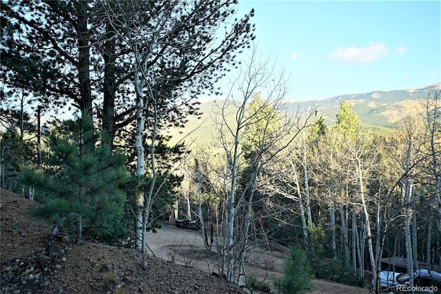 Listing photo 3 for 310 Wise Rd, Bailey CO 80421