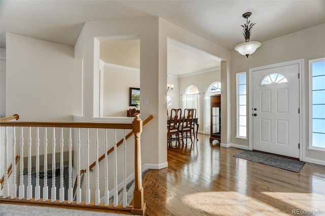 foyer featuring hardwood / wood-style flooring and a healthy amount of sunlight