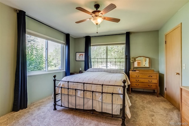 3010 Zinnia Ct, Golden, CO 80401 - bedroom with multiple windows, carpet flooring, and ceiling fan
