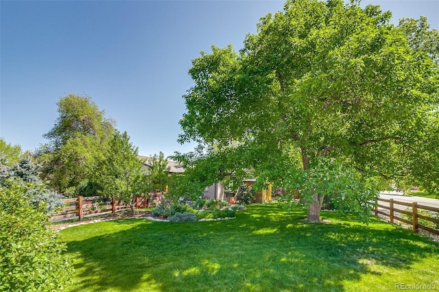 3010 Zinnia Ct, Golden, CO 80401 - view of yard