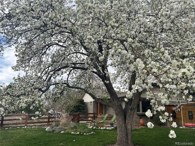 3010 Zinnia Ct, Golden, CO 80401 - view of yard