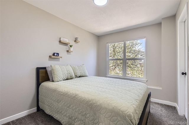 690 Howe Ct, Castle Rock, CO 80104 - photo 23