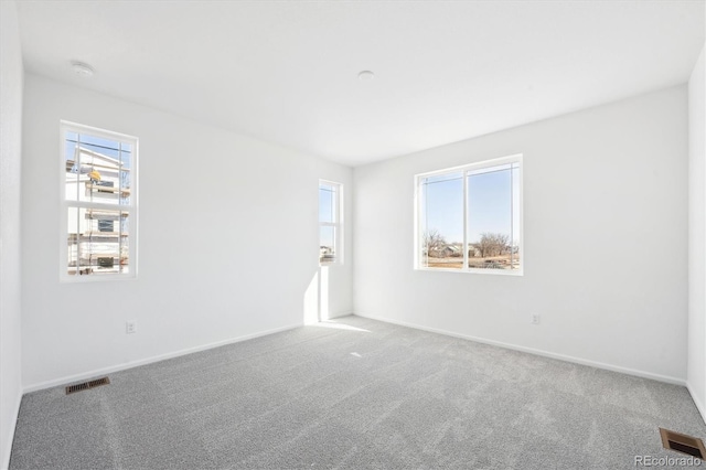 carpeted empty room featuring a wealth of natural light