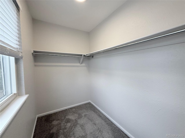 839 S Leyden St, Denver, CO 80224 - photo 14