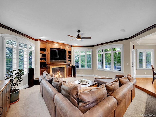 291 Fairchild Dr, Highlands Ranch, CO 80126 - living room with ceiling fan, crown molding, plenty of natural light, a glass covered fireplace, and baseboards