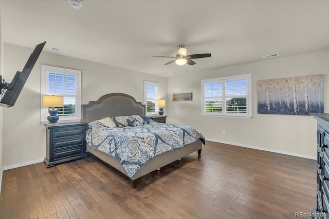 3762 White Rose Loop, Castle Rock, CO 80108 - bedroom with dark wood-style floors and ceiling fan