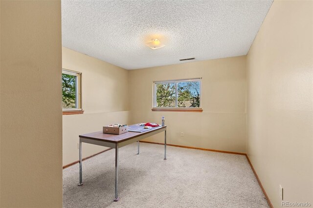 1045 Golden Hills Rd, Colorado Springs, CO 80919 - office space featuring plenty of natural light, carpet flooring, a textured ceiling, and visible vents
