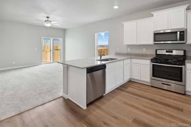 kitchen with stainless steel appliances, a sink, open floor plan, ceiling fan, and healthy amount of natural light