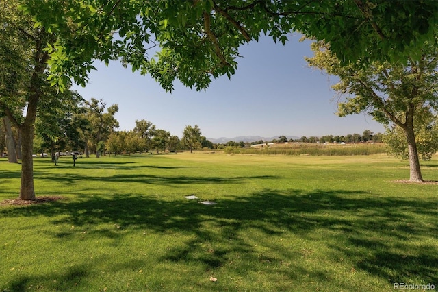 view of community featuring a rural view and a yard