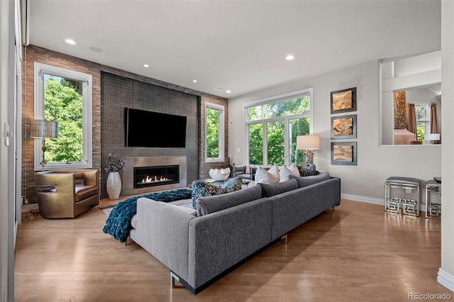 living room featuring a fireplace and light hardwood / wood-style floors