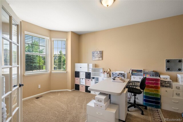 22268 E Hidden Trail Dr, Parker, CO 80138 - photo 15