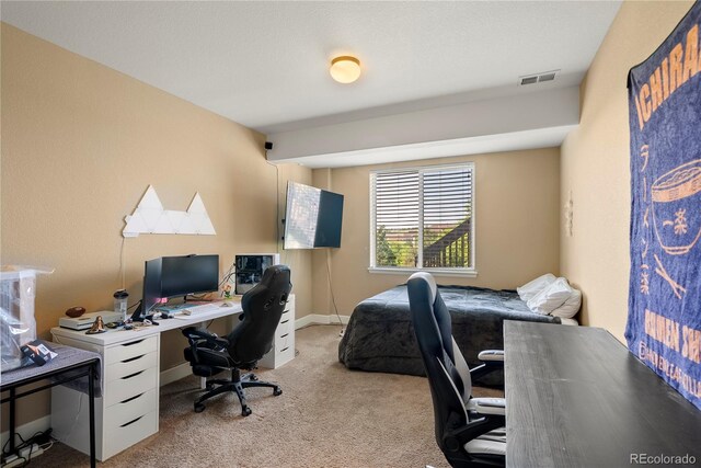 22268 E Hidden Trail Dr, Parker, CO 80138 - photo 30