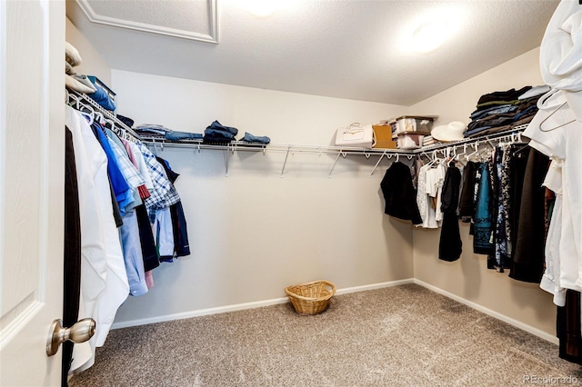 walk in closet featuring carpet flooring