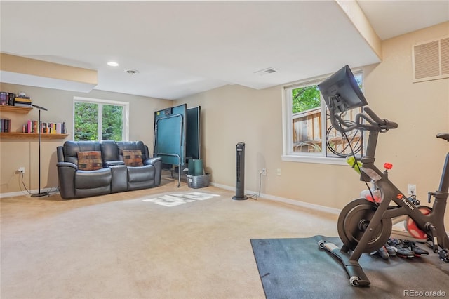 16071 Crestrock Cir, Parker, CO 80134 - exercise room featuring carpet flooring and recessed lighting