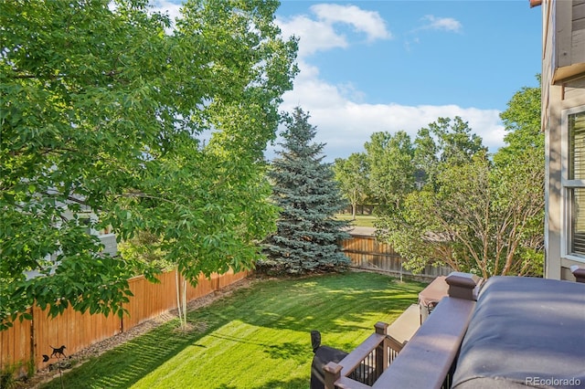 16071 Crestrock Cir, Parker, CO 80134 - view of fenced backyard