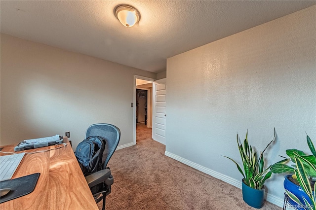 office featuring carpet and baseboards