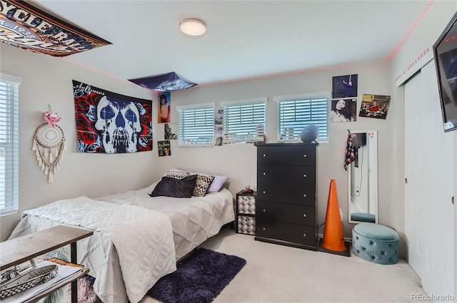 carpeted bedroom with multiple windows