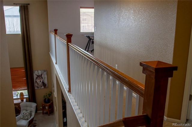 15523 E 117th Ave, Commerce City, CO 80022 - photo 20