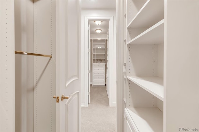3143 Elmira St, Denver, CO 80238 - walk in closet featuring light colored carpet