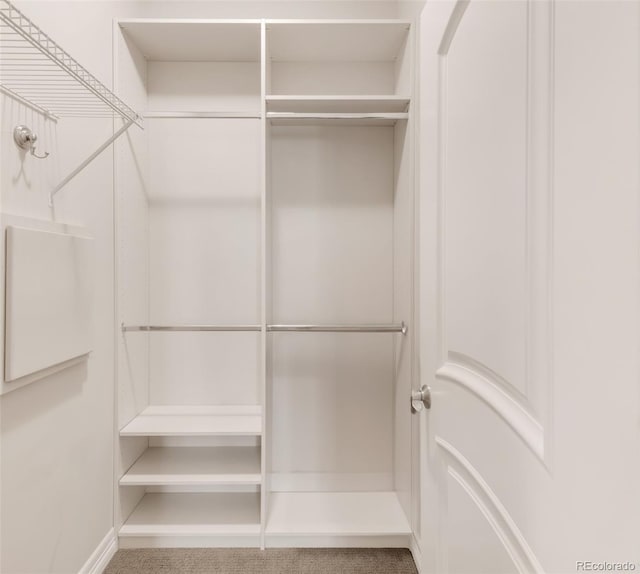 3143 Elmira St, Denver, CO 80238 - view of walk in closet