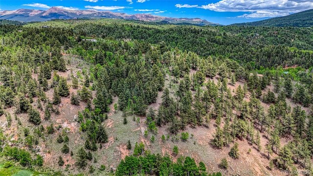626 Little Topsey Dr, Cripple Creek, CO 80813 - photo 10