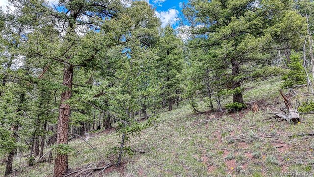 626 Little Topsey Dr, Cripple Creek, CO 80813 - photo 11