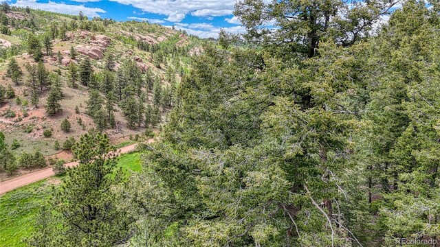 626 Little Topsey Dr, Cripple Creek, CO 80813 - photo 14