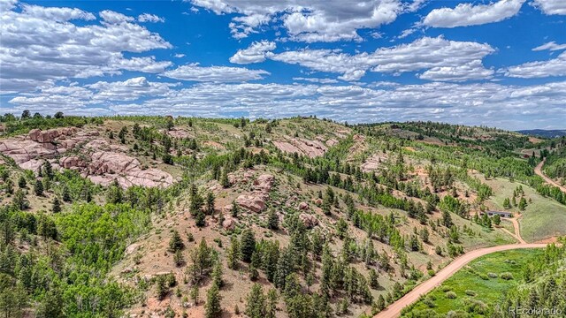626 Little Topsey Dr, Cripple Creek, CO 80813 - photo 16