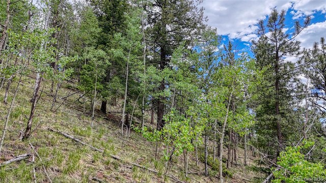 626 Little Topsey Dr, Cripple Creek, CO 80813 - photo 17